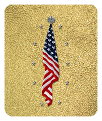 DF35-421-SH-GD Flag at Rest Shimmer Gold